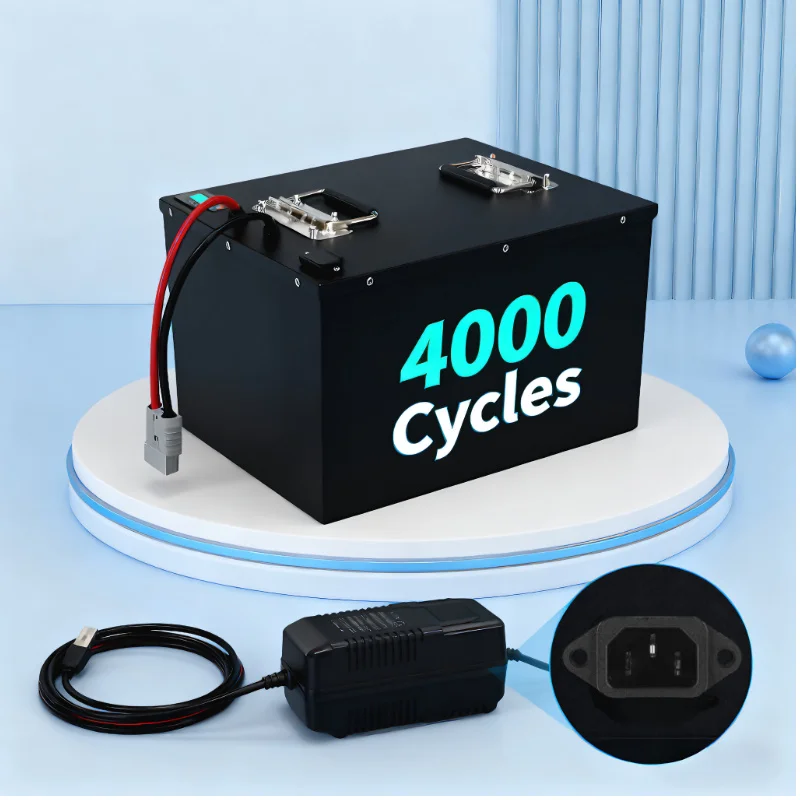 LIFEPO4 Batterij met BMS 72V 8 - 72V 40Ah Lifepo4 Battery Pack recensie en prijs
